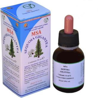 HERBOPLANET MSA Sequoia Gigantea 50ml - Extracto Espagírico de Secuoya (Sequoiadendron Giganteum) - Complemento Alimenticio Energético HERBOPLANET MSA Sequoia Gigantea 50ml - Extracto Espagírico de Secuoya (Sequoiadendron Giganteum) - Complemento Alimenticio Energético