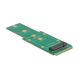 DeLOCK Adaptador mSATA a M.2 Key B Slot 62592