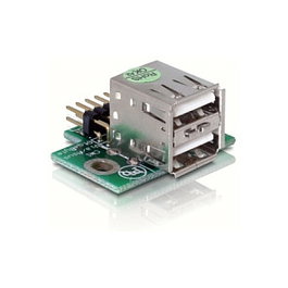 DeLOCK USB Pinheader de USB 2.0 A a 2 x USB 2.0 hembra - Plata