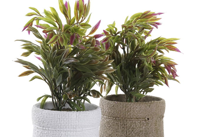 DKD Home Decor Planta PE EVA 16x16x21 Surtido de 2