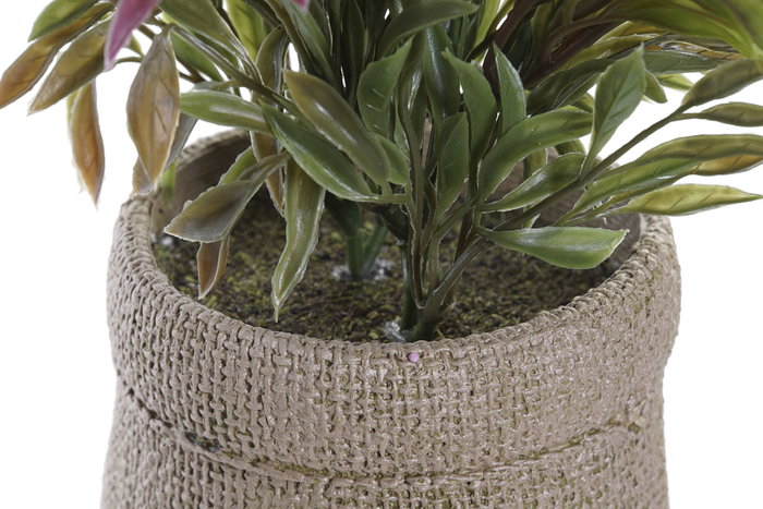 DKD Home Decor Planta PE EVA 16x16x21 Surtido de 2