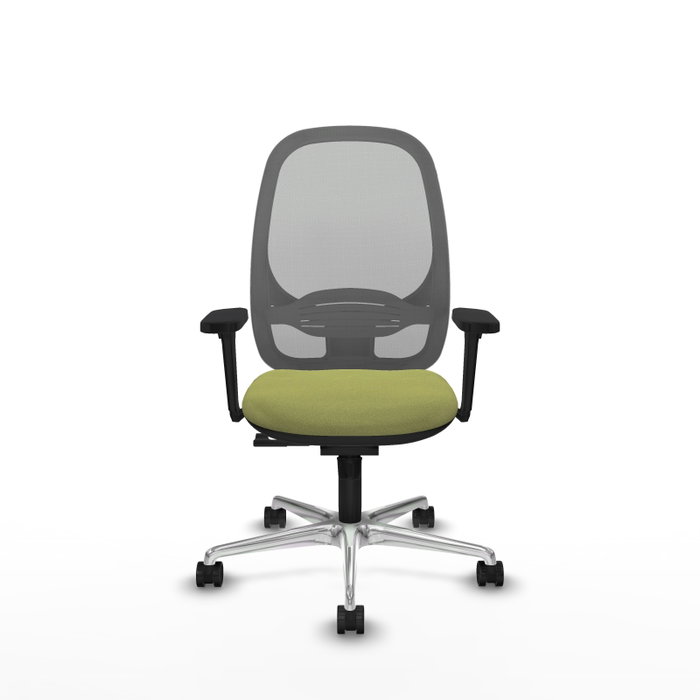 PIQUERAS Y CRESPO Silla de oficina Cilanco con mecanismo Sincro, Verde oliva y Gris PIQUERAS Y CRESPO Silla de oficina Cilanco con mecanismo Sincro, Verde oliva y Gris
