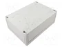 SPELSBERG TK PC 2518-9-O Carcasa Universal de Policarbonato Gris