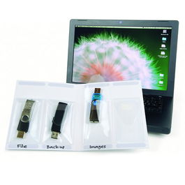 3L 510250 Pack 10 Fundas Adhesivas USB 2.5 x 90 mm + Carpeta Organización Transparente Polipropileno