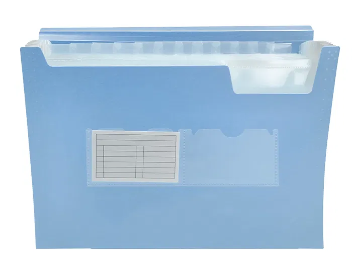 Liderpapel Carpeta Clasificador Fuelle Polipropileno DIN A4 Celeste Opaco 13 Departamentos con Cierre de Gomas