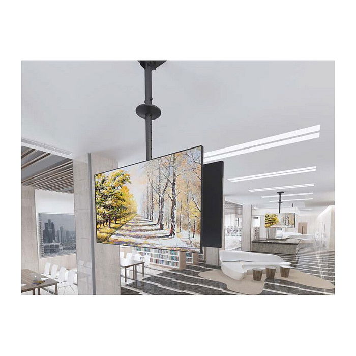 EQUIP Soporte TV Techo Doble Pantalla 39"-75" 2TFT hasta 80kg Inclinable Ajustable Negro