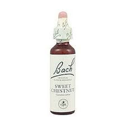Bach Sweet Chestnut (Castaño Dulce) Nº30