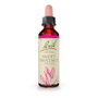 Bach Original Sweet Chestnut (Castaño Dulce) Nº30