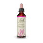 Bach Original Sweet Chestnut (Castaño Dulce) Nº30