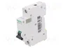 SCHNEIDER ELECTRIC Interruptor magnetotérmico 4A 1 polo Característica C