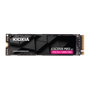 Kioxia Exceria PRO G2 2 TB M.2 2280 NVMe PCIe 5.0