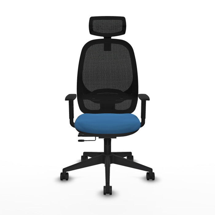 PIQUERAS Y CRESPO Silla de oficina Cilanco con mecanismo Sincro/Traslack, Azul claro y Negro PIQUERAS Y CRESPO Silla de oficina Cilanco con mecanismo Sincro/Traslack, Azul claro y Negro