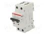 ABB Interruptor magnetotérmico S200 2 polos 6A Caract Z