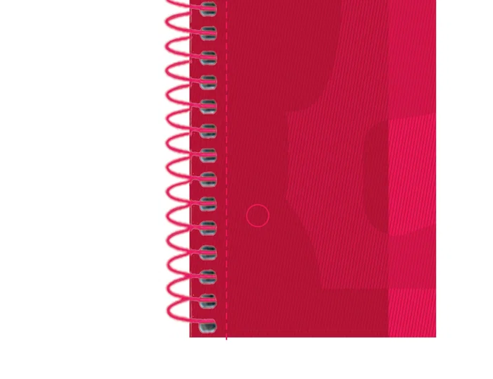 Oxford Set de 5 Cuadernos Classic Europeanbook 1 A4+ Rojo con Write&Erase