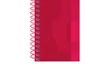 Oxford Set de 5 Cuadernos Classic Europeanbook 1 A4+ Rojo con Write&Erase