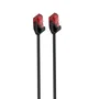 Ewent IM1046 Cable de Red Cat.6 U/UTP (UTP) Slim Networking, 2 Metros, Negro, Conectores RJ45 Chapados en Oro