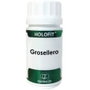 EQUISALUD HOLOFIT GROSELLERO 60 cápsulas