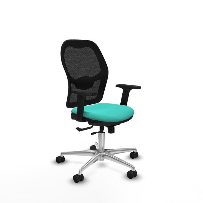 PIQUERAS Y CRESPO Silla de oficina Jorquera con mecanismo Sincro/Traslack, Turquesa y Negro PIQUERAS Y CRESPO Silla de oficina Jorquera con mecanismo Sincro/Traslack, Turquesa y Negro