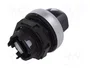LOVATO ELECTRIC Interruptor rotativo Platinum 22mm negro