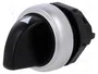 LOVATO ELECTRIC Interruptor rotativo Platinum 22mm negro