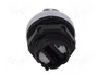 LOVATO ELECTRIC Interruptor rotativo Platinum 22mm negro