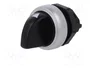 LOVATO ELECTRIC Interruptor rotativo Platinum 22mm negro