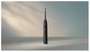 Philips Sonicare Serie 7100 HX7421/01 Negro con Etui