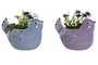 DKD Home Decor Planta Dolomite Pájaro Surtido Rosa y Azul 18x14x17,5 cm