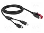 DeLOCK 85488 Cable PoweredUSB USB Tipo-B a Hosiden Mini-DIN 3 Pin 2 m