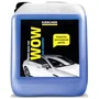 Karcher KAR4039784359697 Champú para Coche - 5 L