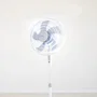 Grunkel Ventilador de Pie FAN-165X 50W 5 Aspas 40cm 3 Velocidades Blanco