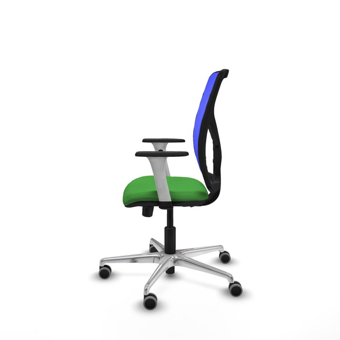 PIQUERAS Y CRESPO Silla de oficina Motilla con mecanismo Sincro/Traslack, tela verde y malla azul PIQUERAS Y CRESPO Silla de oficina Motilla con mecanismo Sincro/Traslack, tela verde y malla azul