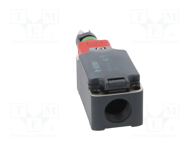 PIZZATO ELETTRICA FP 2079 Interruptor de seguridad de cuerda unilateral PIZZATO ELETTRICA FP 2079 Interruptor de seguridad de cuerda unilateral