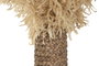 DKD Home Decor Decoración Palmera Natural Fibra y Metal 30x30x180 cm