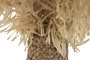 DKD Home Decor Decoración Palmera Natural Fibra y Metal 30x30x180 cm