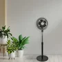 DAEWOO Ventilador de Pie High Speed, 80W, 25cm/10", Negro con Base Redonda
