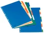 Esselte Separadores de Plástico DIN A4 Multitaladro Juego de 10 con 5 Colores