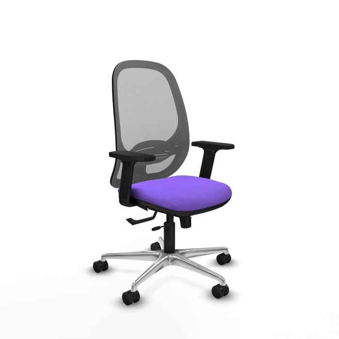 PIQUERAS Y CRESPO Silla de oficina Cilanco con mecanismo Sincro/Traslack, Lila y Gris PIQUERAS Y CRESPO Silla de oficina Cilanco con mecanismo Sincro/Traslack, Lila y Gris