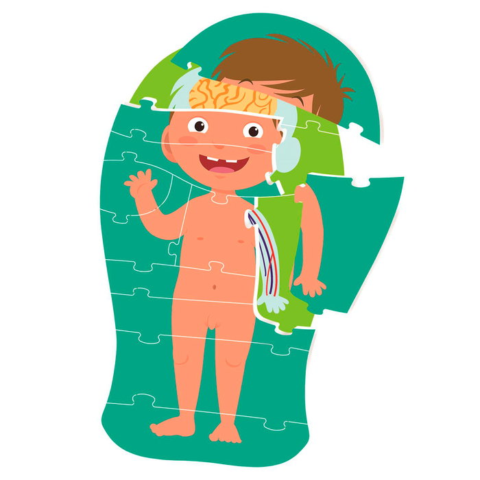 Clementoni El Cuerpo Humano