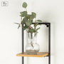 MAX HOME-ESTANTERIA PARED 2 BA
