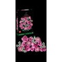 Lego Botanicals Ramo de Rosas Rosadas 10374
