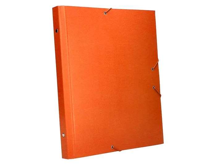 Liderpapel Carpeta clasificadora de 12 departamentos naranja folio prolongado
