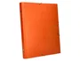 Liderpapel Carpeta clasificadora de 12 departamentos naranja folio prolongado