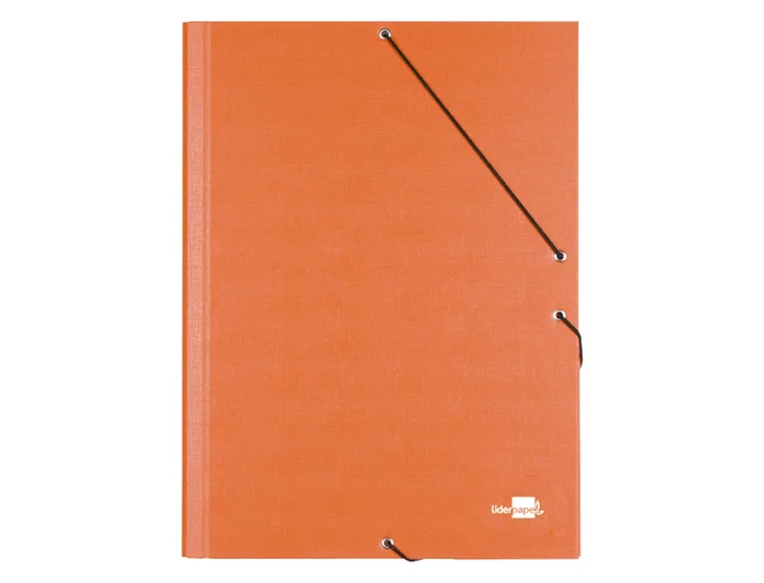 Liderpapel Carpeta clasificadora de 12 departamentos naranja folio prolongado