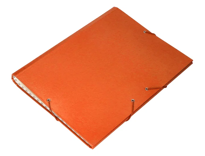 Liderpapel Carpeta clasificadora de 12 departamentos naranja folio prolongado