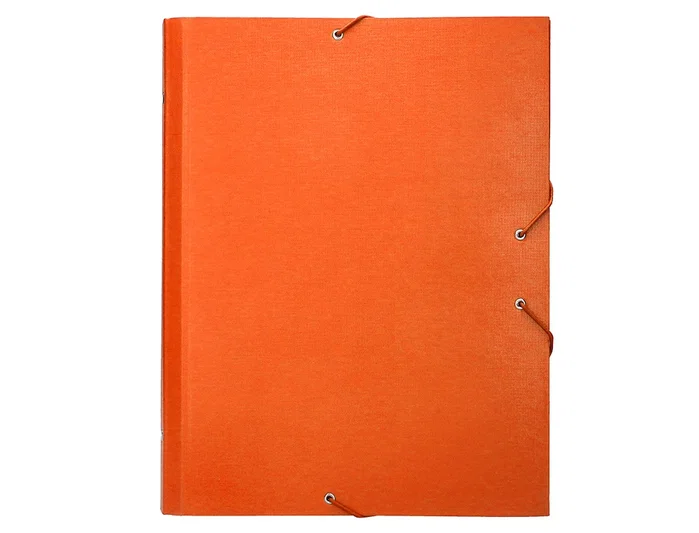 Liderpapel Carpeta clasificadora de 12 departamentos naranja folio prolongado