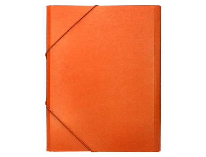 Liderpapel Carpeta clasificadora de 12 departamentos naranja folio prolongado