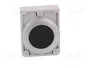EATON ELECTRIC Interruptor de presión RMQ-Titan negro