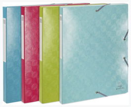 Carpeta De Proyectos Exacompta 1928 Cartulina Lustrada A4 Gomas 2.5 Cm Surtido (4 Col.) (Set de 8)