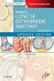 ELSEVIER UK Netter's Concise Orthopaedic Anatomy, Updated Edition